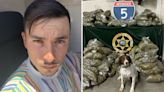 Un agente de cuatro patas lleva a la incautación de 140 libras de marihuana al centro de California