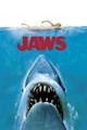 Jaws