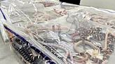 Man stopped at customs with 100 live snakes down his pants