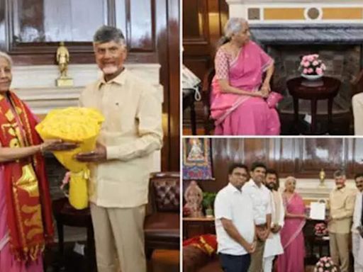 Budget: Chandrababu Naidu meets FM Nirmala Sitharaman, seeks financial aid for debt-ridden Andhra Pradesh - The Economic Times