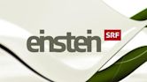 Einstein (Swiss TV series)