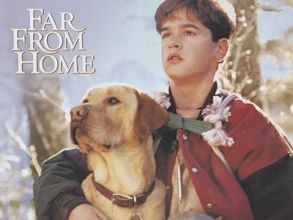 Far from Home: The Adventures of Yellow Dog