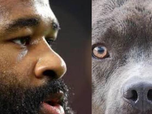 NFL | Un jugador de los Kansas City Chiefs comete el acto más inhumano con dos perros