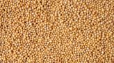 What Is Good Substitute For Mustard Seeds? A Review By Nutrition Professionals