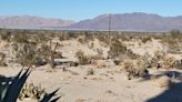 Feds may expand solar, wind across the West, including in the California desert