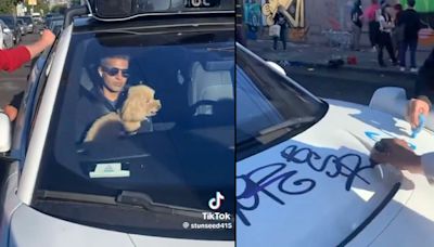 Waymo Passenger Clutches Small Dog as Vandals Surround Vehicle