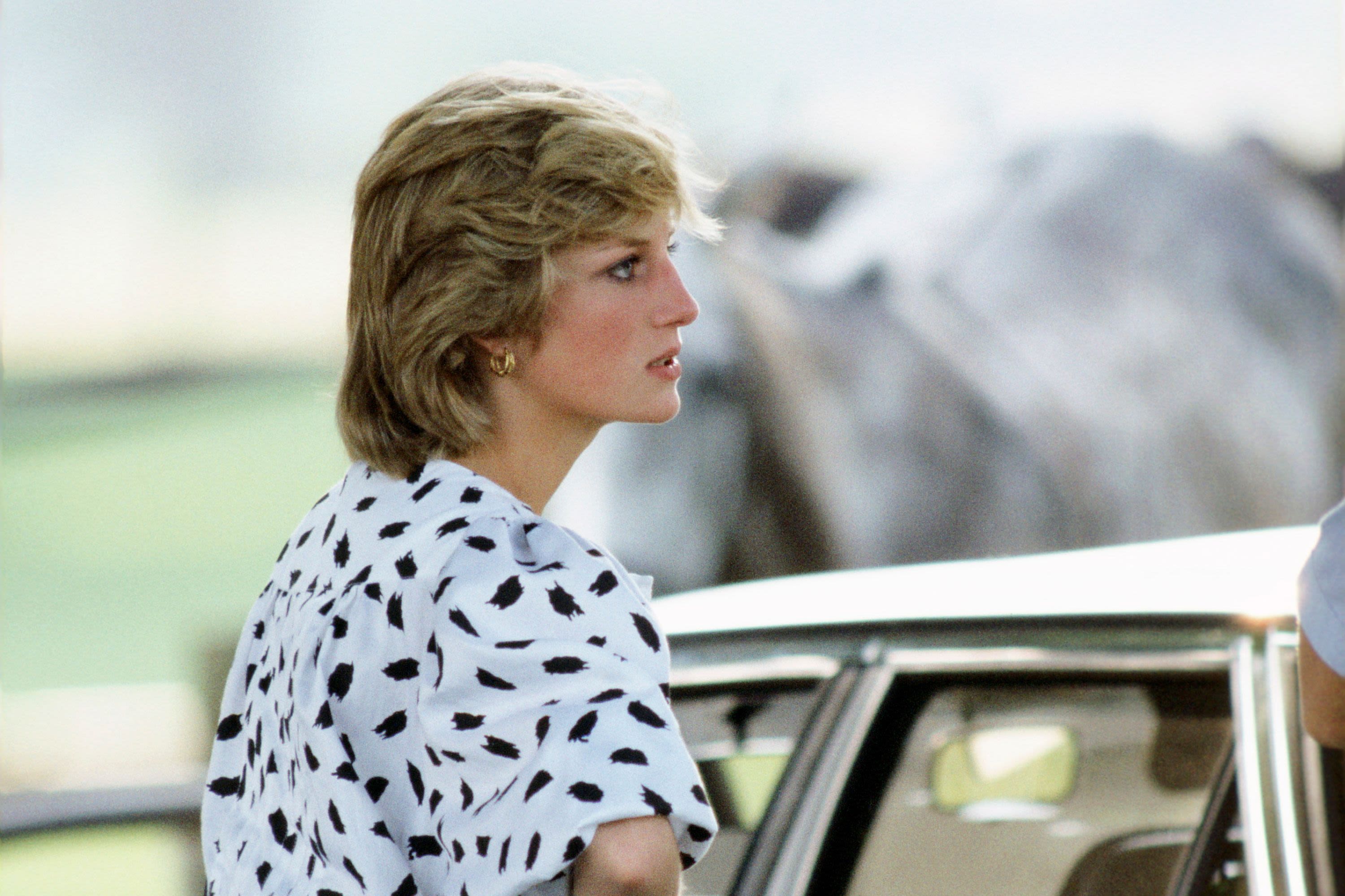Princess Diana's chauffeur takes legal action after "The Crown"