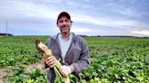 Solar project may help Fort Gratiot farmers diversify income, keep land in the family