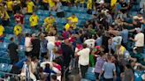 Liverpool's Darwin Nunez jumps into the crowd and starts punching FANS