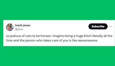 23 Of The Funniest Tweets About Cats And Dogs This Week (May 4-10)