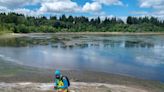 Here’s how to get involved in the creation of Olympia’s future restored estuary