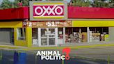 Oxxo mantendrá tiendas y gasolineras cerradas ante ola de violencia en Nuevo Laredo, Tamaulipas