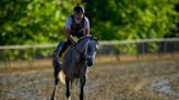 Seize the Grey wins the Preakness for D. Wayne Lukas and ends Mystik Dan’s Triple Crown bid