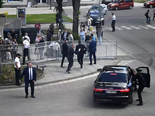 The suspect in the attempted assassination of Slovakia's prime minister now faces terror charges - Times of India