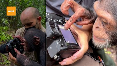 Viral Video: Chimpanzee checks photos on DSLR camera; photographer warns, ‘It’s not a toy’ | Today News