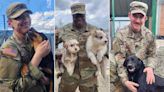 Animal Nonprofit Looking to Reunite 23 Animals with Military Members in One of Its 'Largest Rescues Ever'