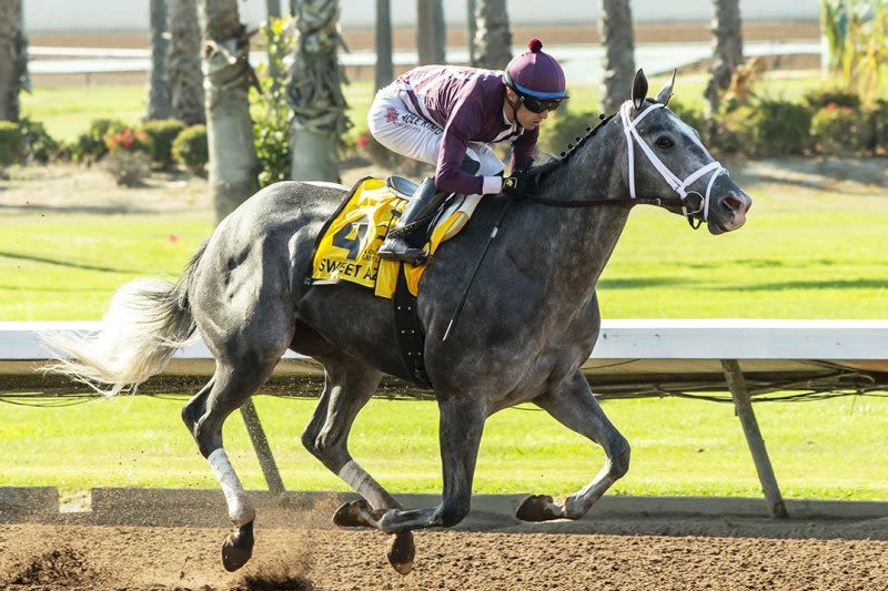 Final horse racing weekend at Aqueduct tees up Saratoga meeting