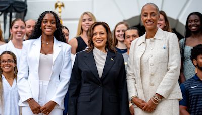 What is Kamala Harris’ race and identity? ‘DEI’ attacks show what Black women face in politics