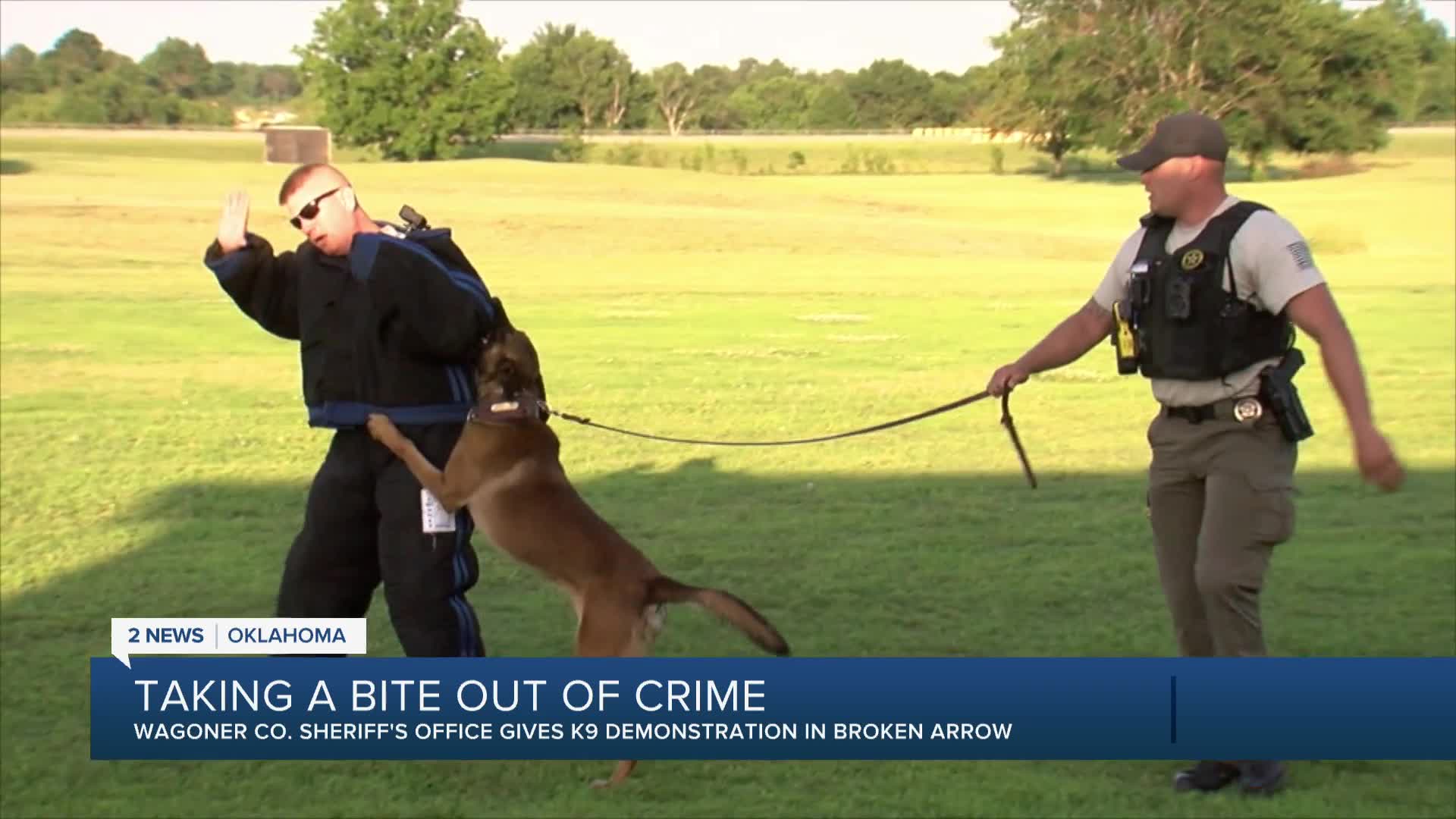 Wagoner County Sheriff's Office perform K-9 demonstration