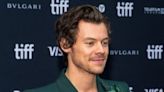 Just Friends? Harry Styles Spotted Hugging Event Planner Sofia Krunic