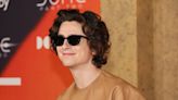 Timothée Chalamet es el alivio que Hollywood estaba esperando