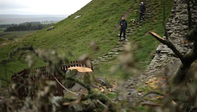 Dos acusados de talar el sicomoro conocido como el "árbol de Robin Hood" en Inglaterra