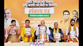 Congress Labels BJP's J&K Poll Manifesto as Misleading Promises