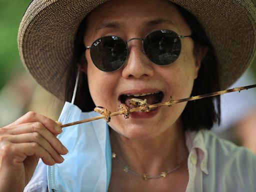 Chocolate-covered scorpions and deep-fried beers: The craziest state fair foods from over the years