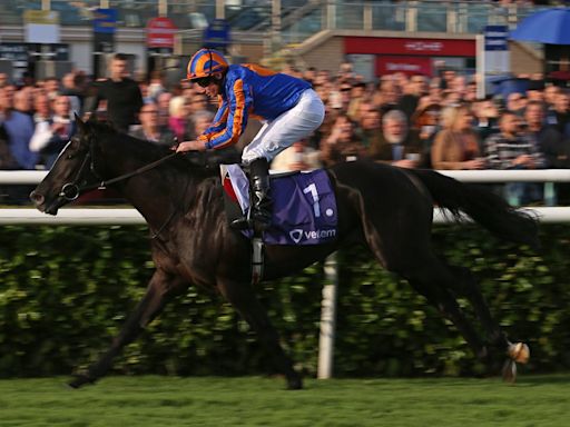 Friday horse racing tips: Royal Ascot winner Porta Fortuna to win again