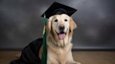 ¡La mejor foto de graduación! Así posaron alumnos de Veterinaria de la UNAM [Video]