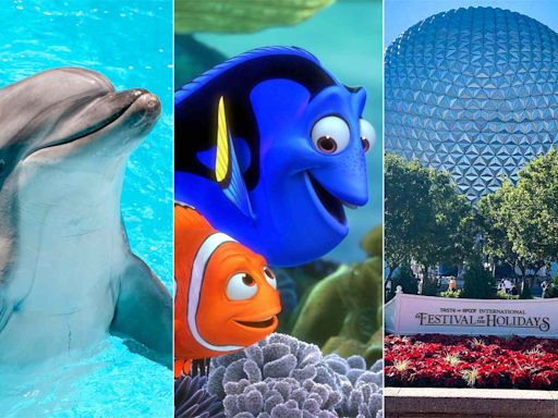 Disney World will remove all live dolphins from Epcot's 'Finding Nemo' attraction