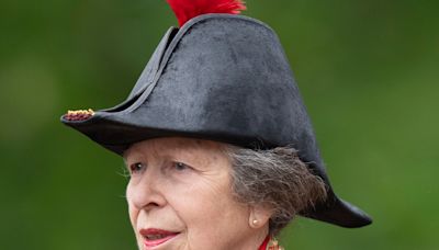 Princess Anne Experiencing Memory Loss Related to Hospitalization