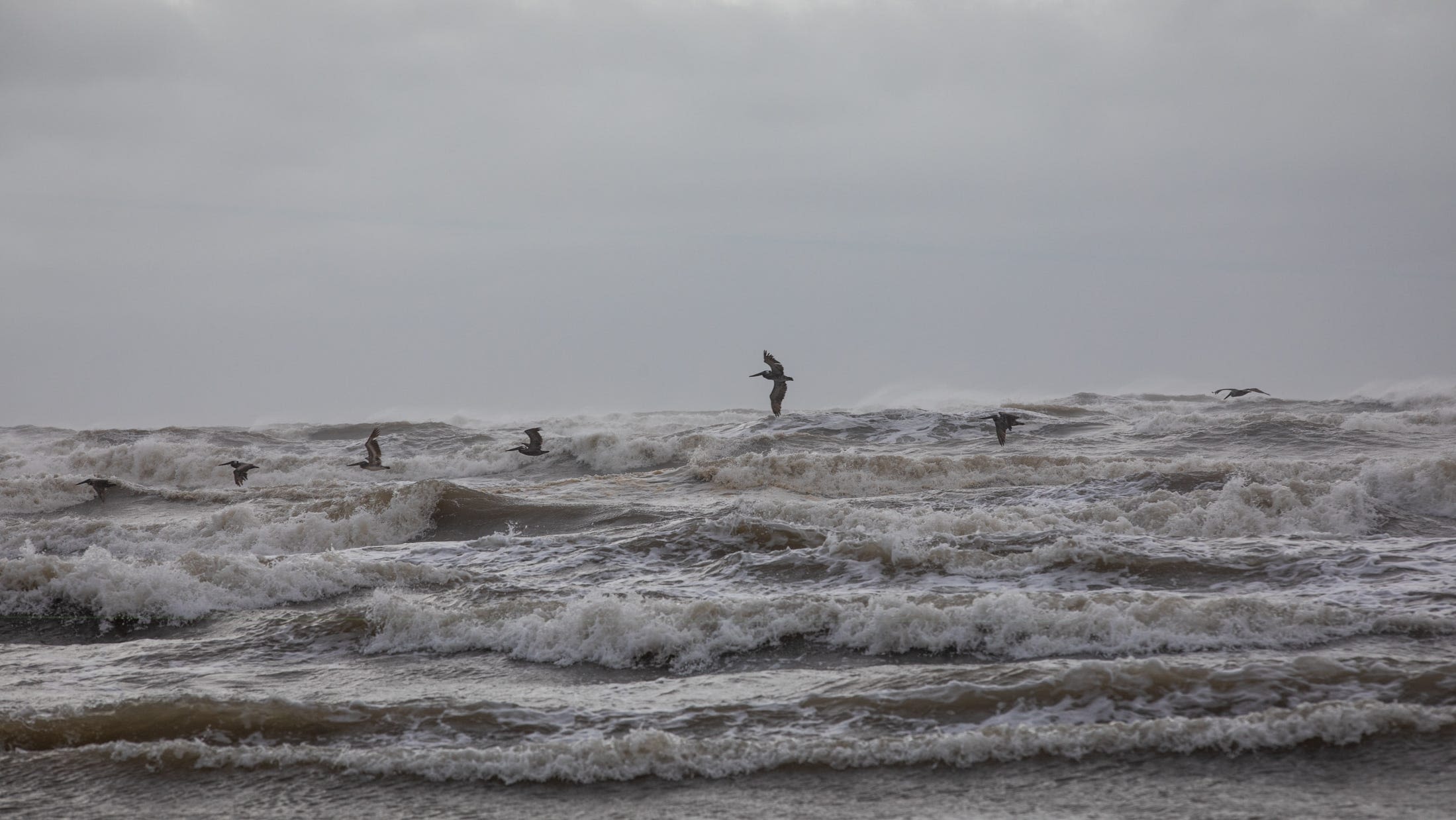 US Coast Guard rescues missing scuba divers after 36 hours, 15 miles off Texas coast