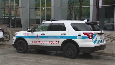 Reported feces smeared on door handles of 8 Chicago police vehicles