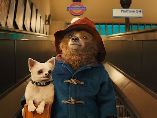 Netflix movie of the day: Paddington is a charming animation with 97% on Rotten Tomatoes