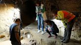 Winemaker finds 40,000-year-old mammoth bones in his wine cellar