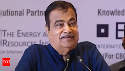 Gadkari orders probe into poor upkeep of Delhi-Mumbai, Amritsar-Jamnagar e-ways | India News - Times of India