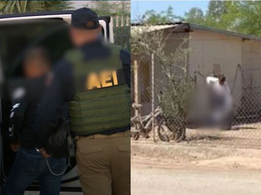 ¡De no creer! Hombre mata a perrito a palazos frente a niño de 8 años en Mexicali