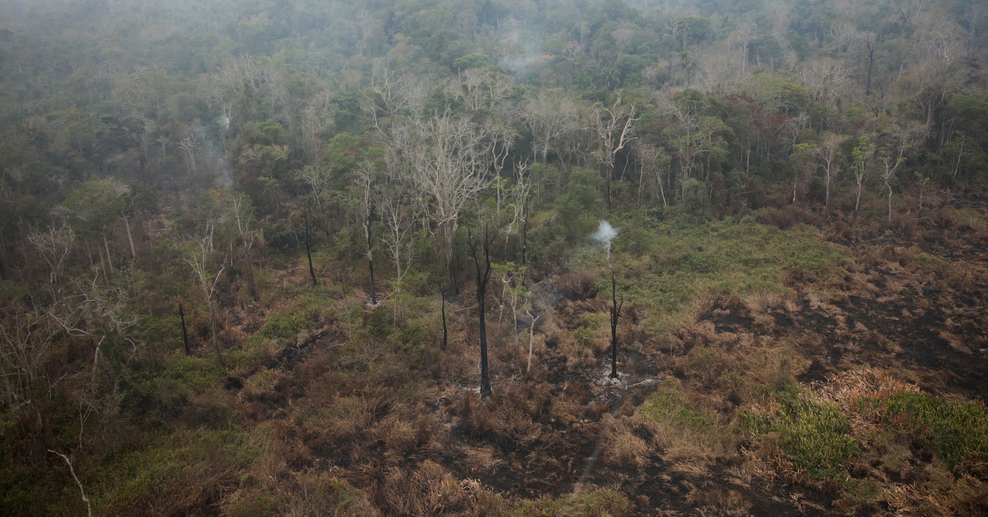 Blazes in Brazil's Amazon off to record start in 2024, as firefighting budget cut