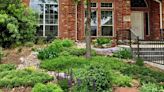 How a rain garden can benefit your North Texas landscape