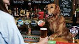 UK's top dog-friendly pubs named and they're all perfect for a summer's day out