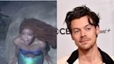 The Little Mermaid director says Harry Styles turned film down for ‘darker’ roles