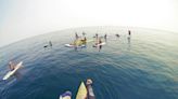 Conquer the Seacoast paddleboard event invites you to participate