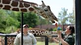 This is what it's like to be a zookeeper at Reid Park Zoo