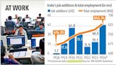 168 million workforce added since FY18, 46.6 million in FY24: RBI data