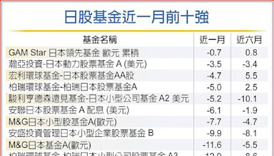 定期定額日股主動基金 有利