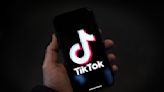 Hans von Spakovsky of the Heritage Foundation on TikTok Election Integrity | iHeart