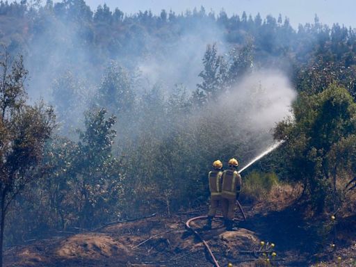 “El 2 de febrero le habría indicado que era el momento preciso”: cómo habrían operado los acusados de causar el siniestro en Valparaíso - La Tercera