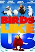 Birds Like Us