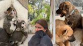 Conoce ‘Rescatalandia’, un proyecto de rescate animal creado con amor